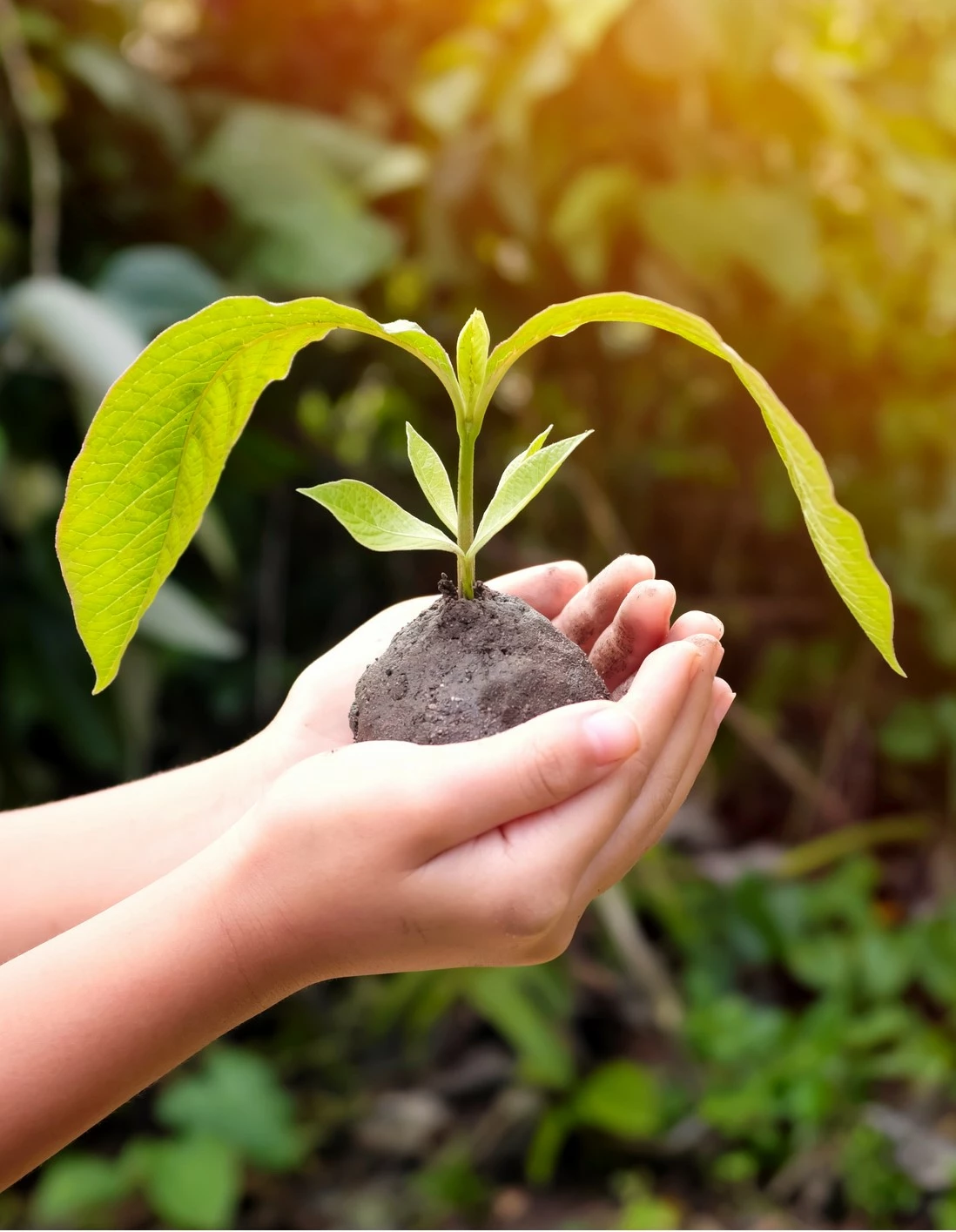 iso-14001-socotec